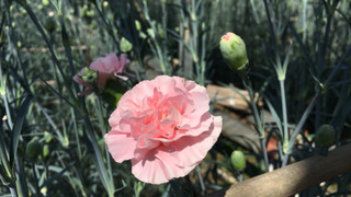 20170428_14_02_35