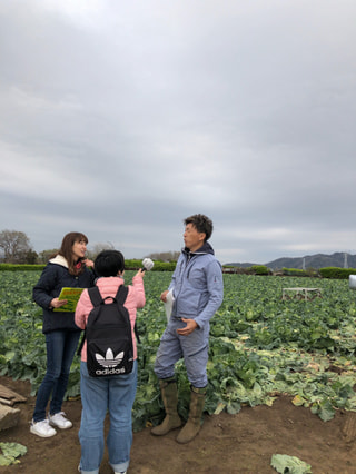 春だ♪のぞみだ♪横須賀キャベツ