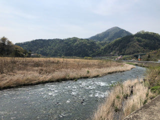 超☆旬の山菜み～つけた！