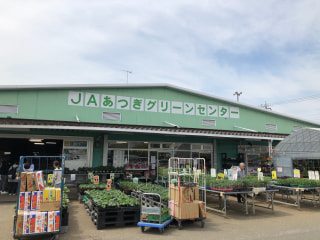 夏野菜のコンパニオン☆