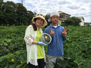 三浦から夏の贈り物