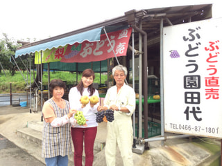 まるごと美味しい大粒ぶどう