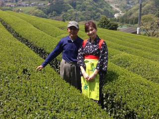 足柄茶の里を訪ねて！