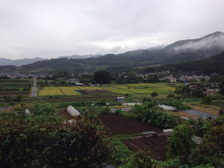 丹沢のそばで、おそばを食す♪