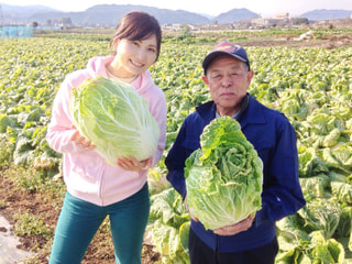 鍋？漬物？白菜いろいろ