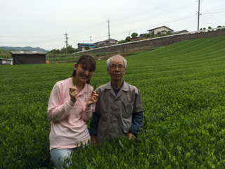 新茶の香り届けます♪