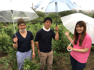 田奈で地産地消ブルーベリー