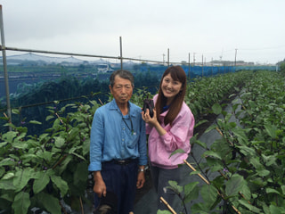 ナスの季節がおいでナスった