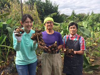 里の宝物　里芋＆八ツ頭