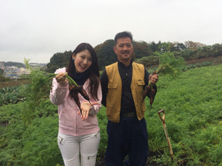 元町で横浜野菜の宝石箱や～