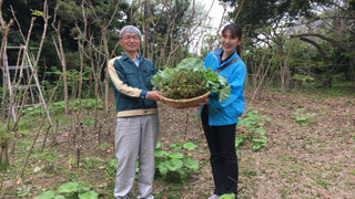 キングオブ山菜！