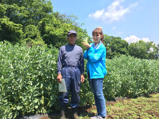 峠の一寸そら豆