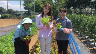 愛川町で手作りランチ♪