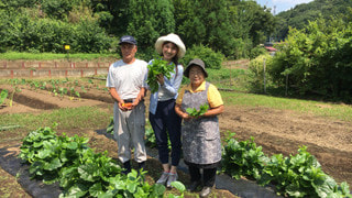 夏野菜料理で納涼気分♪