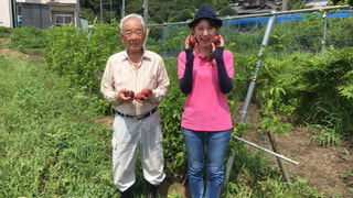 真夏の果実は津久井にあった！