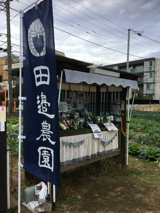 親子で紡ぐ野菜のチカラ♡