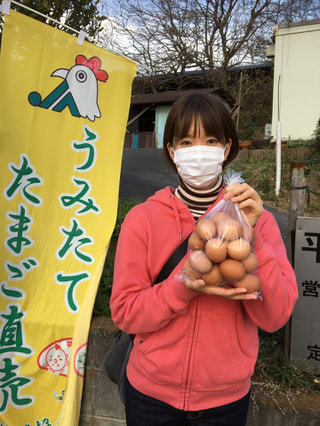 こりゃたま卵！横浜の元気な卵