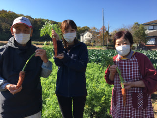 香りはバラ？味はニンジン？アロマレッド