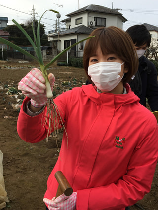 ニンニク界の推しメン✩ハーリック