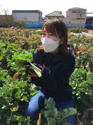 かわさきそだちの「のらぼう菜」