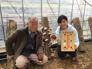 きのこのこのこ小野木のこ