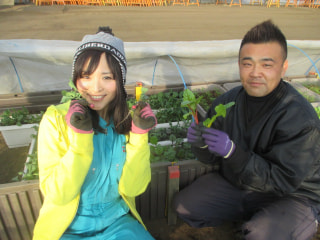 JA Fresh Farm野菜レシピあれこれ♪