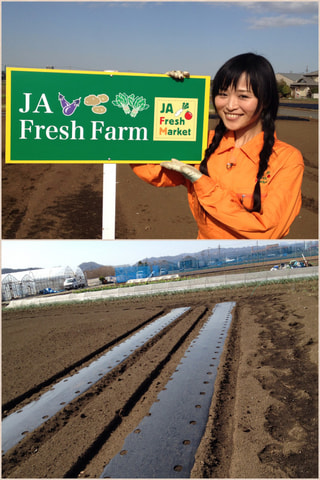 『JA Fresh Farm』オープン！(4月6日放送分）