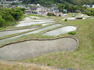 原風景を訪ねて（６月１日分放送）