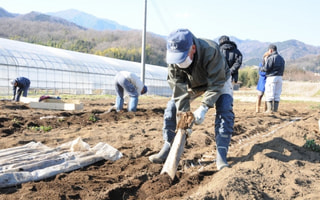 冬の新名物“自然薯　大山”（１月１９日放送）