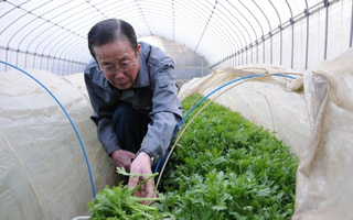 かわいい楽しい野菜雛♪（３月２日放送）