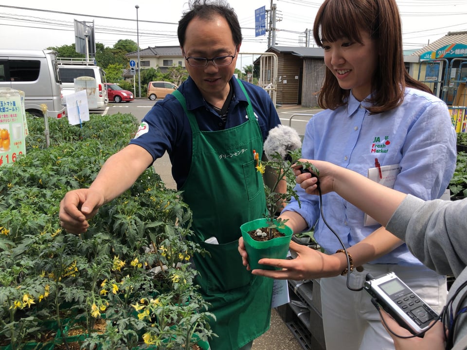 夏野菜のコンパニオン☆ | JA Fresh Market - Fm yokohama 84.7