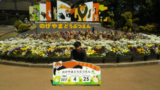 野毛山動物園行ってきた〜