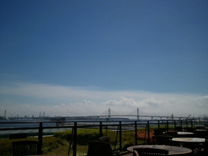 Photo_7