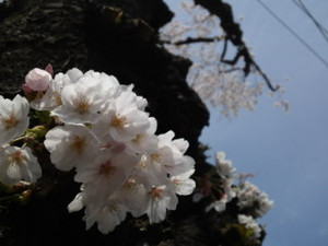 Sn3s0721