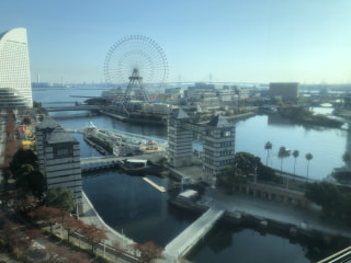 11月15日のメラタデサンデー