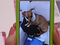 Photo_6