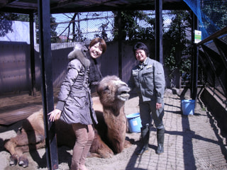 野毛山動物園　飼育員　櫻堂由希子さん