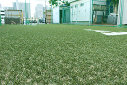 Field_chipgreentea_after_school_4