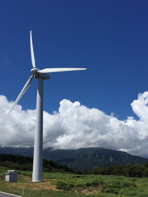 Image1