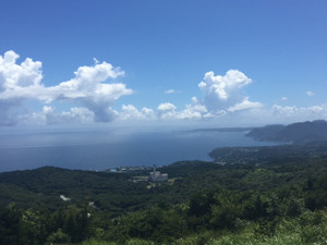 Image2