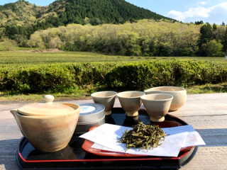 申し込むなら今がおススメ♪　お茶の木・茶畑オー ナー制度をご紹介☆