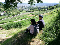 高梨茶園（秦野市）のクラウドファンディングをご紹介☆