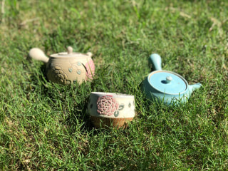 茶の苗木が買える！しかも好きな品種が選べる！～心向樹さんのご紹介♪