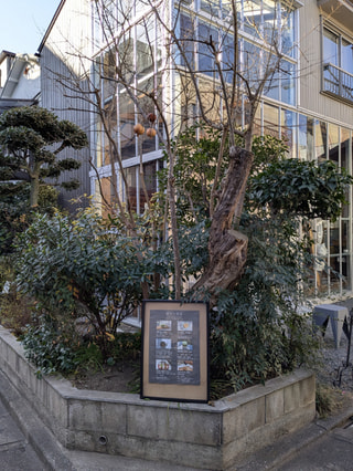 心ほどけるとろける日本茶のお店〈旅する茶屋〉をご紹介☆