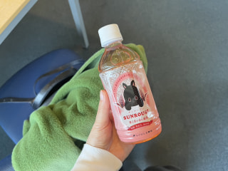 シン感覚⁈ピンク色の緑茶「サンルージュ」のペットボトルのご紹介