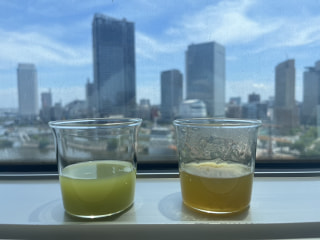 とろり緑茶ととろみ緑茶…とろみのついたお茶の飲み比べ♪