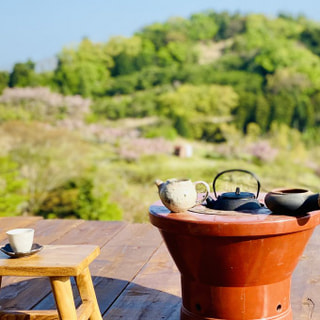 あなたも茶園のひとつぼ園主になることが♬