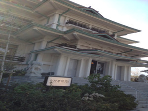 Image_8