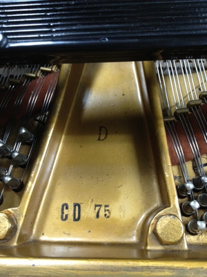 Photo_5
