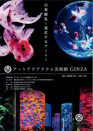 假屋崎省吾さん ：金魚と花のコラボレーション！